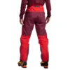 Pantalon Alpine Guide GTX Performance M