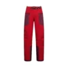 Pantalon Alpine Guide GTX Performance M