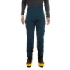 Pantalon Roseg GTX M