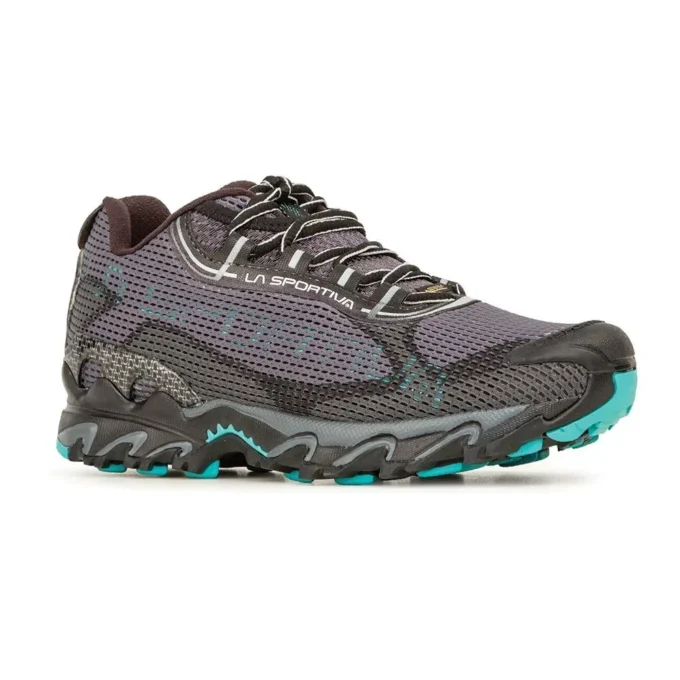 Wildcat 2.0 GTX Femmes (2023)