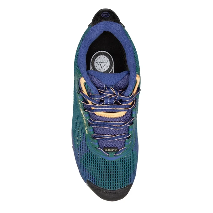 Wildcat 2.0 GTX Femmes